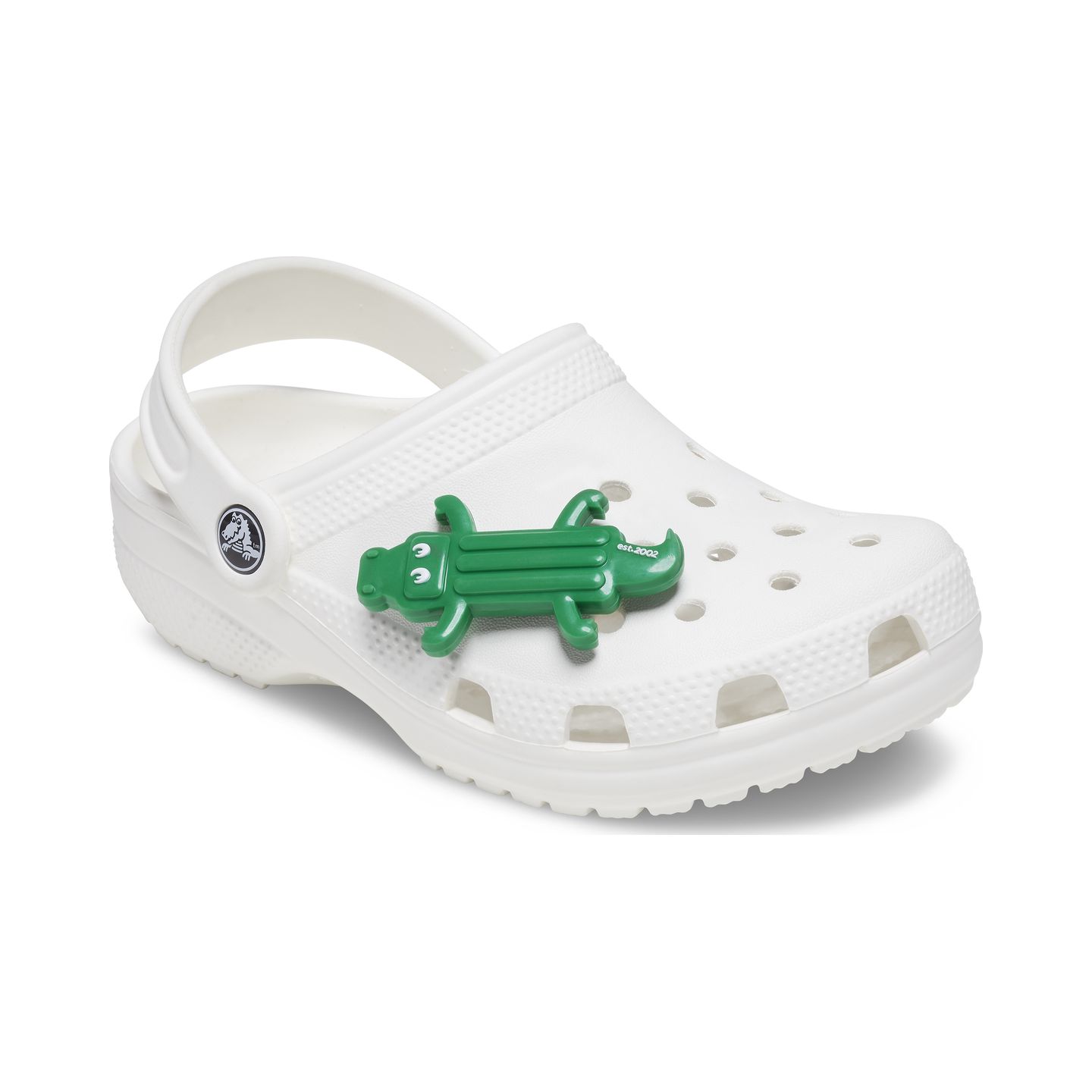 Crocs™ Crocs CROCODILE FLOAT G1045700MU crocs.lt