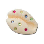 Crocs™ Jibbitz Gem Puka Shell 