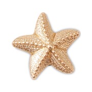 Crocs™ Jibbitz Gold Star Fish G1033700-Mu 